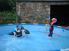 Playing in the swimming pool