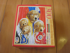 20081116-300片的狗狗 (2)