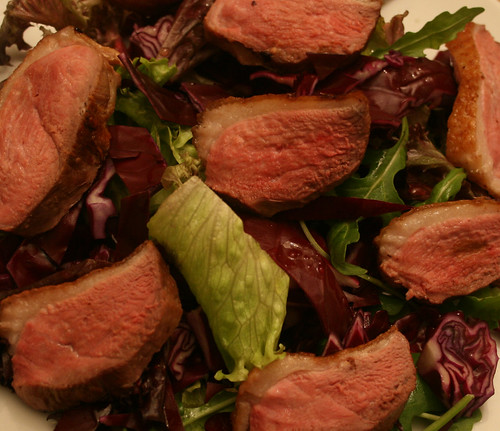 Duck and Red Cabbage Salad