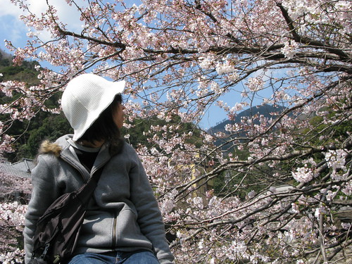 彌榮橋畔的櫻花+我