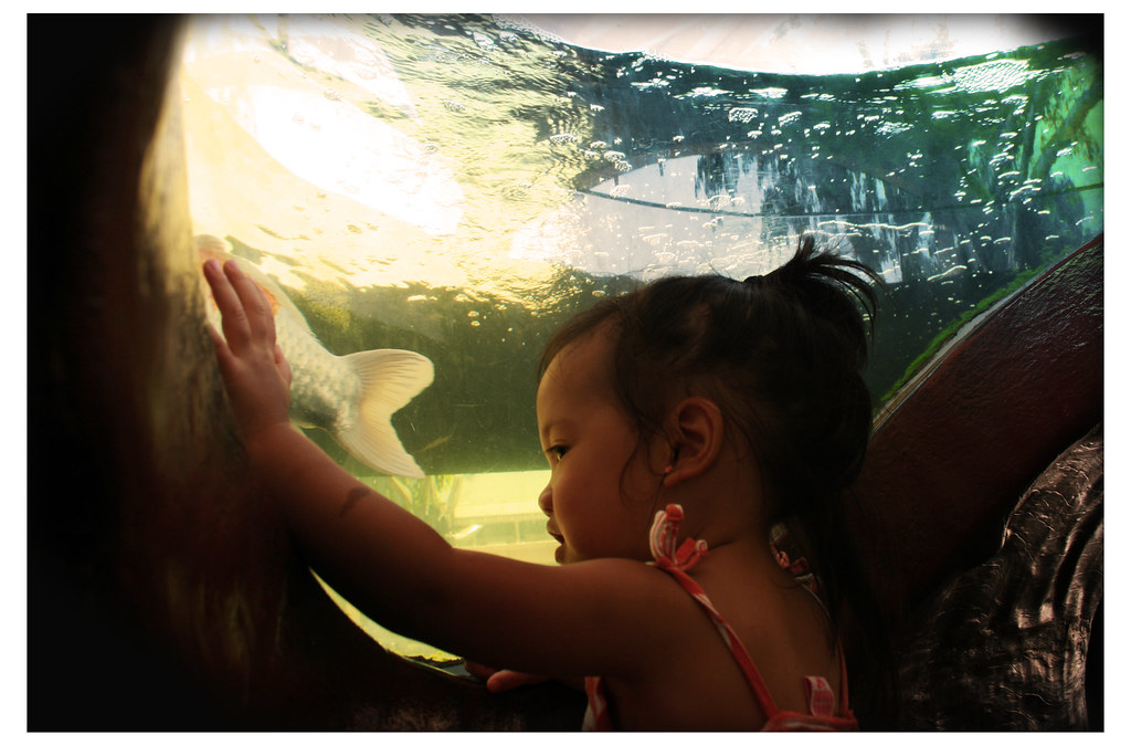 Lauren in the aquarium tunnel at the Honolulu Zoo