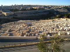 Mt Olives cemetery & Old City