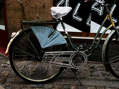 Swedish Bike Beauty