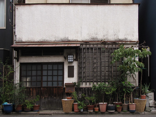 Tokyo Plant Pots 189  東京植木鉢 by tsuyatsuya.