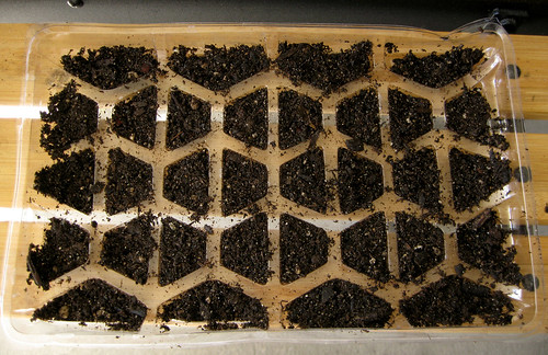 Growing Tray
