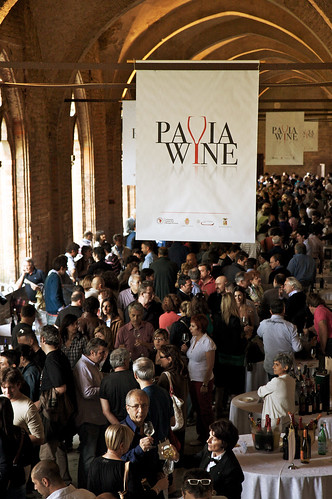 Pavia Wine