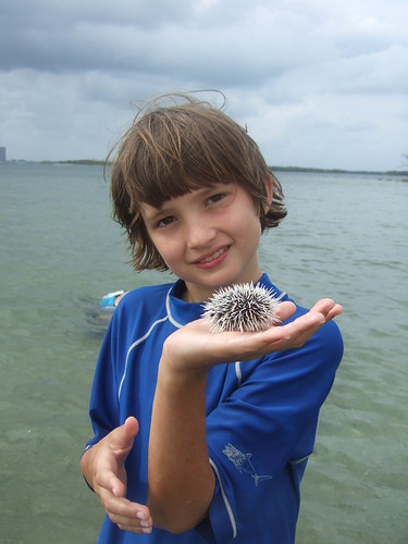 beau with west indian sea egg