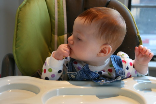 Baby vs finger food