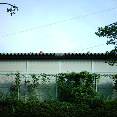 【写真】ミニデジで撮影した倉庫の上のボール達