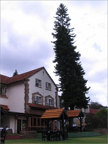 你拍攝的 35 Treetops Reception - Outspan Hotel。
