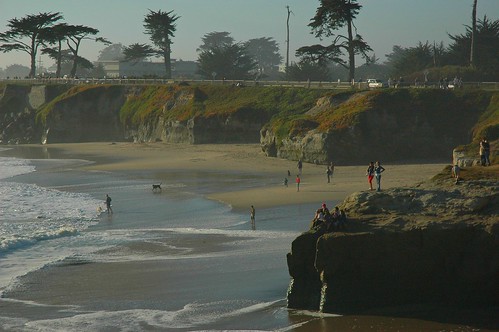Double edged fun, kids on cliffs, dogs in ocean, Santa Cruz, California, USA by Wonderlane