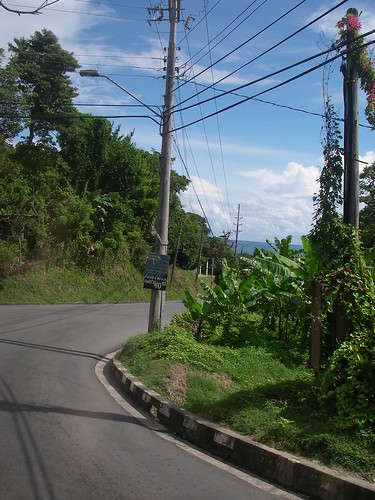 View from the Bus to Charlotteville