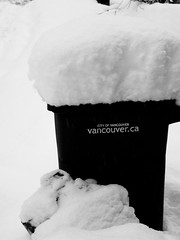 Vancouver, Snow Storm