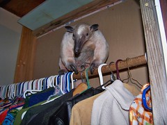 I'm helping sort the winter wardrobe