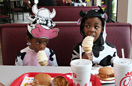 Dress like a cow and get free Chick-Fil-A Tuesday