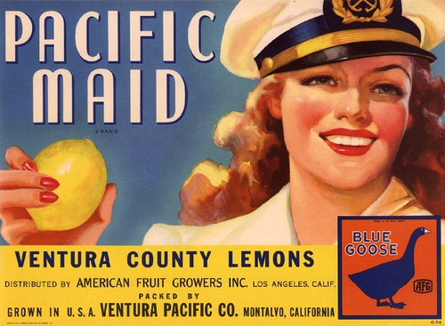 Pacific Maid Lemons - Fruit Crate Art - Ventura Pacfic Co.