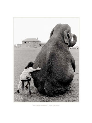 Elephant and me