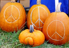 Peace Pumpkins at the North Quabbin Garlic and Arts Festival