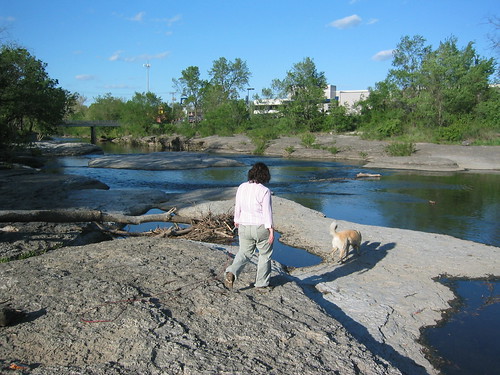Me walking Atka by the creek at 103rd street - Atka saw lots of geese