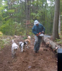 Logging, with friends