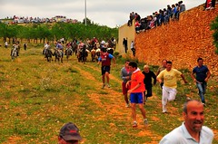 15-05-2011. Segundo encierro. Toros de la ganadería La Alpujarra
