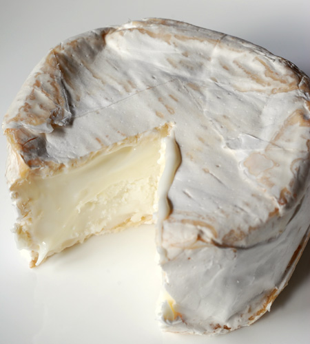 udder delights goats brie© by Haalo