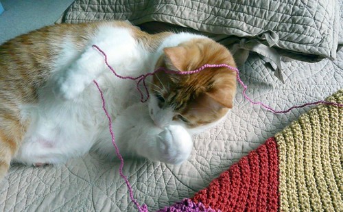 Tangled Up In Pink