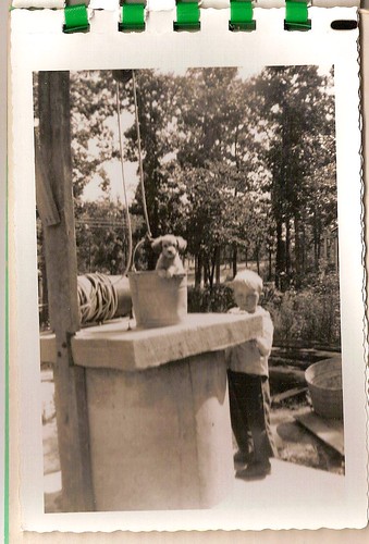 a dog, a boy and a well