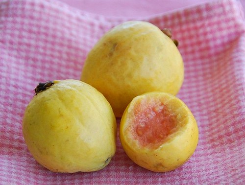 guava bitten