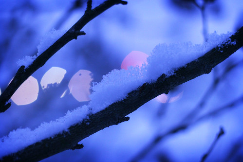 青い雪景色画像