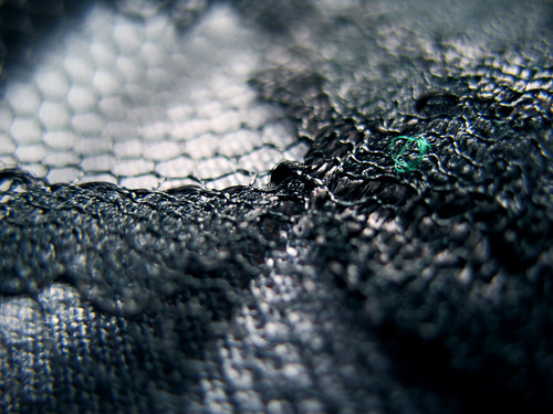 Lace-scape:  January 24, 2009