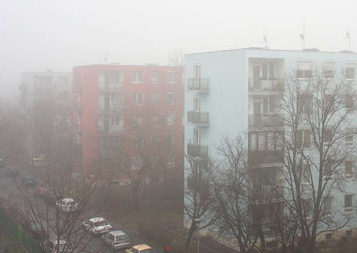 Februári köd