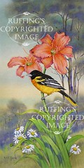 "Resting Place" AER90 by A E Ruffing Oriole and Daylily