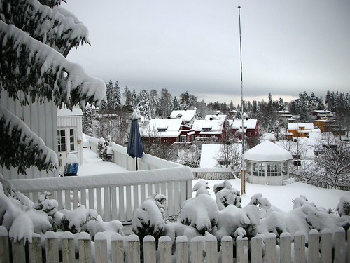 Snow in Norway Winter Wonder Land #1