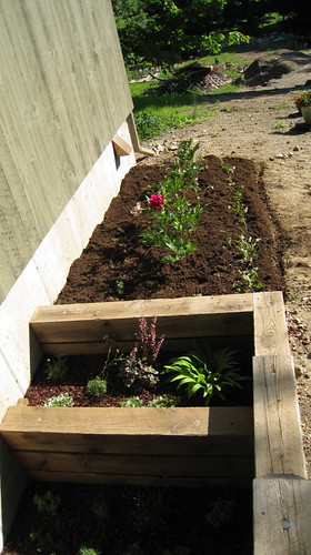 Finished peony bed with step gardens
