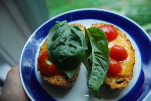 Smoked cheddar cheese toast with tomatoes and basil