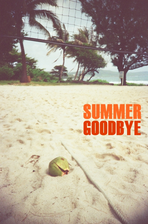 summer goodbye