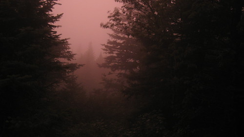 Twilight Fog