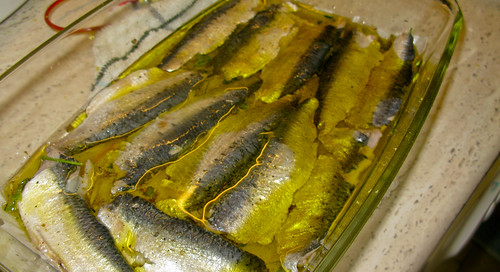 Spanish sardines recipes
