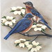 Dogwood Bluebirds