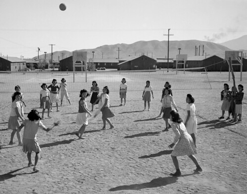 ansel adams photos. Ansel Adams: Volleyball