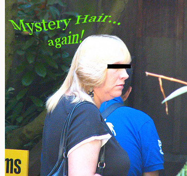 Mystery Hair