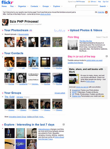 Flickr 2008 Layout