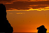 Birds in silhouette during a sunset over by mikebaird, on Flickr