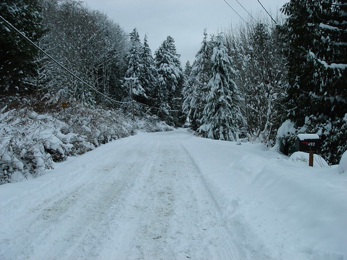 The road to our house
