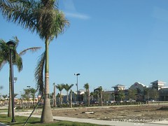 IMG_0166-Strip-Mall-Former-Pasture-Fort-Myers-Florida-01-18-2009