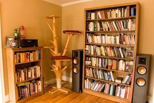 the speakers and cat tree