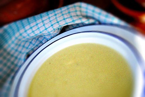 cauliflower & cheese soup