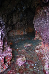 20080510 Sea Cave at Buckhorn Cove
