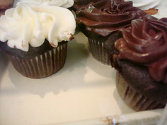 Cupcakes from Sweet Cravings, Allenhurst